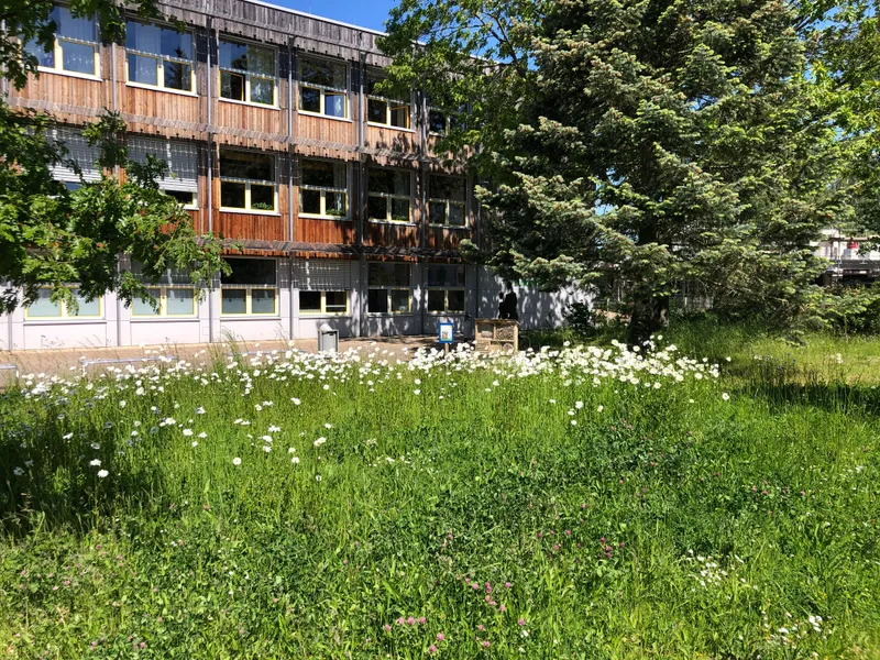 Schulgebäude mit naturnaher Grünfläche
